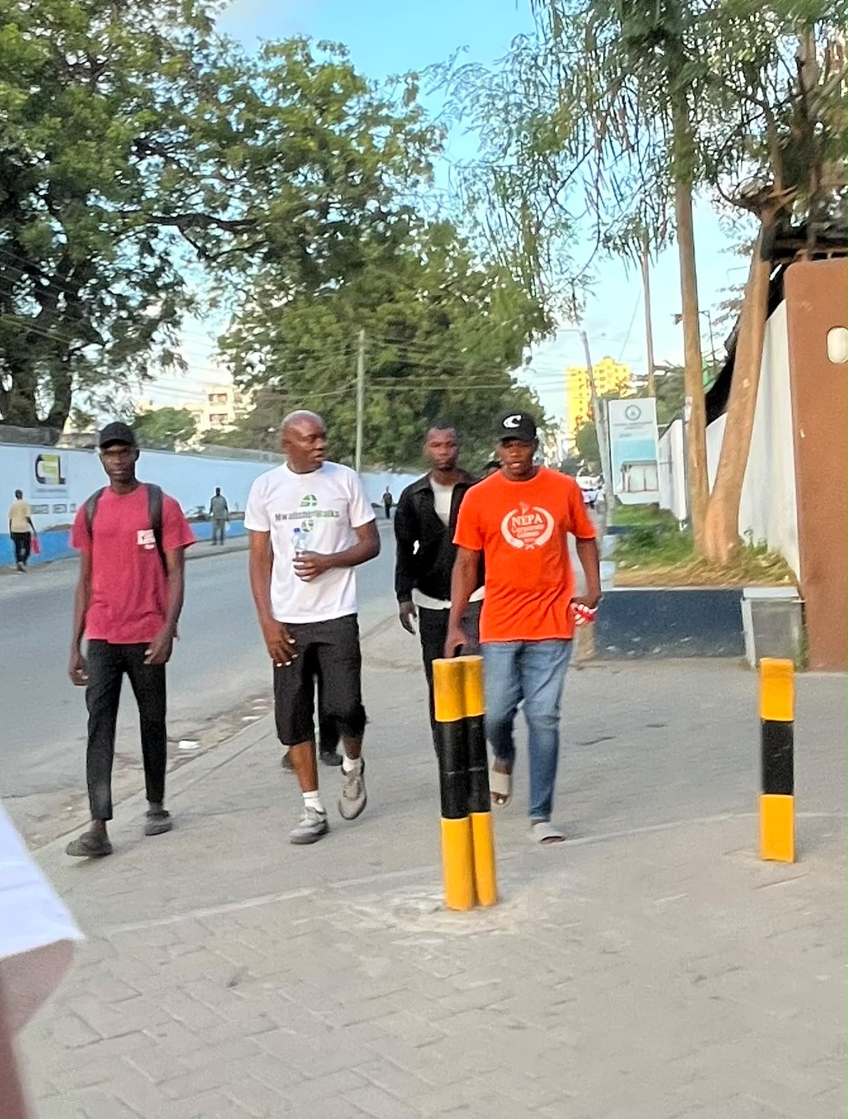 Mwalishi activity