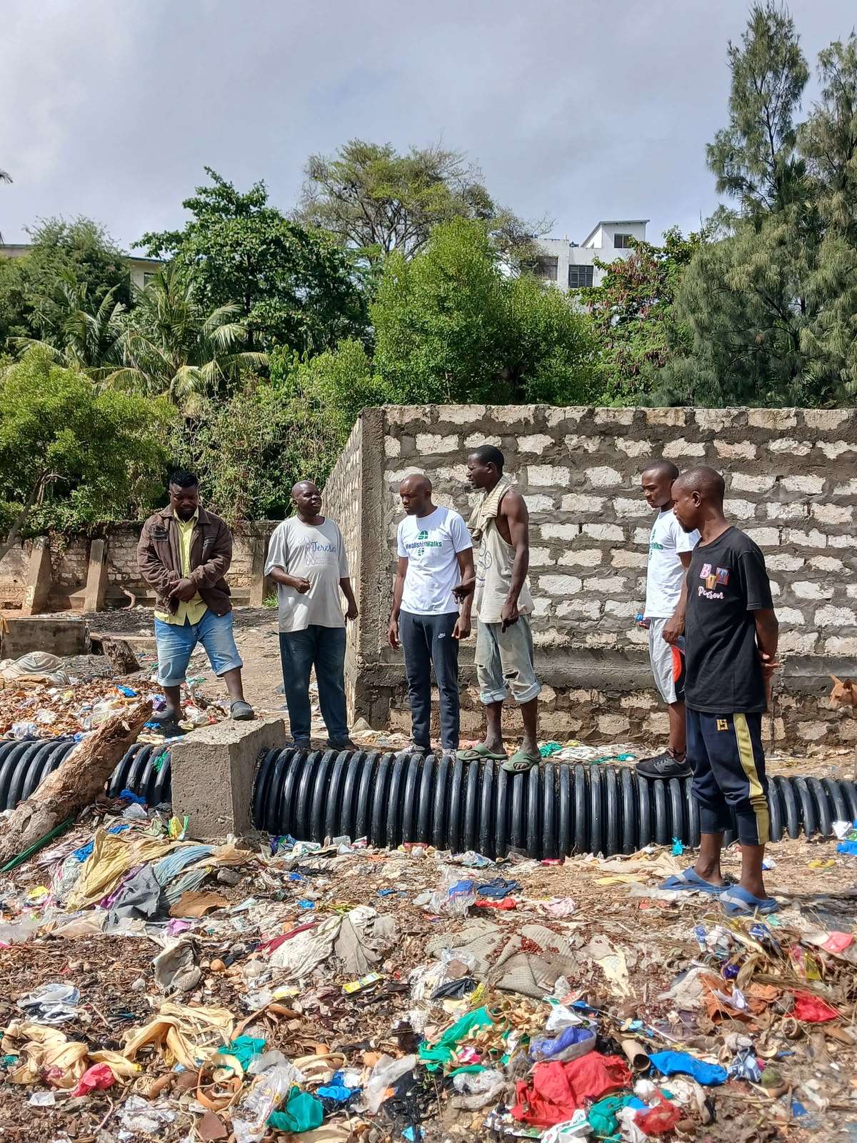 Mwalishi activity